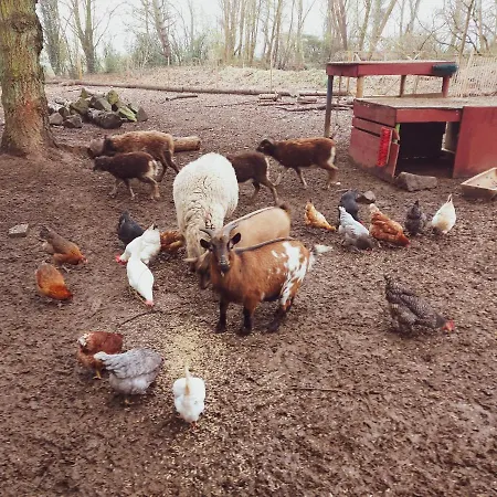 Glampingzelt Dachsburg * Ulmen