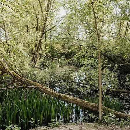 Glampingzelt Dachsburg *