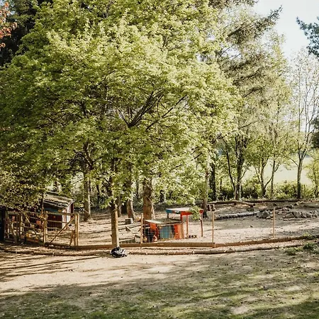 Hébergement de vacances Glampingzelt Dachsburg *